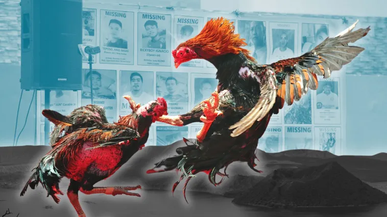 Khám Phá Đá Gà Sabong Tại QQ88 Thắng Lớn Ngay Hôm Nay 2 Khám Phá Đá Gà Sabong Tại QQ88 Thắng Lớn Ngay Hôm Nay